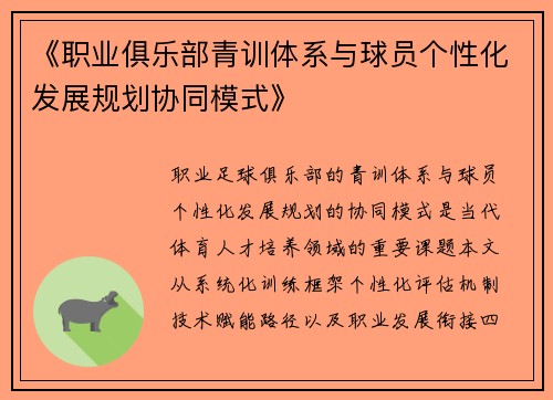 《职业俱乐部青训体系与球员个性化发展规划协同模式》